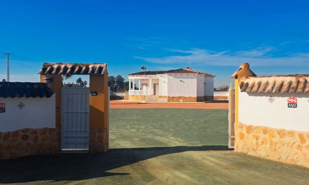 Venta - Finca Propiedad rural -
Catral