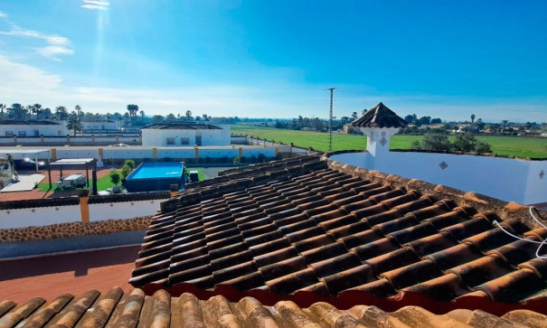 Venta - Finca Propiedad rural -
Catral