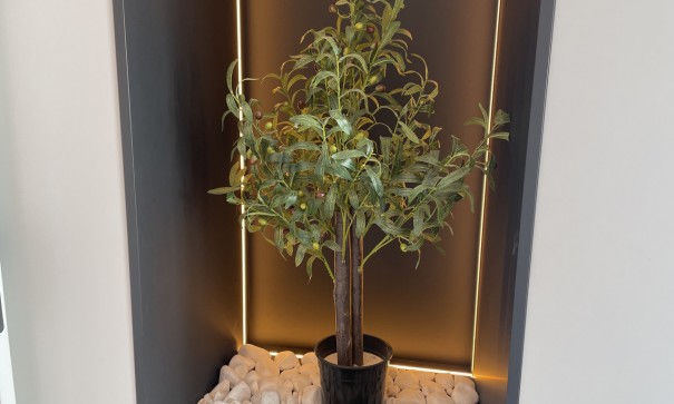 Resale - Freistehende Villa -
San Miguel de Salinas - San Miguel