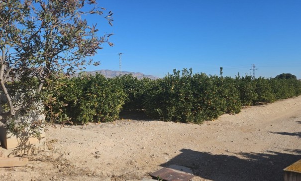 Återförsäljning - Finca lantlig egendom -
Albatera