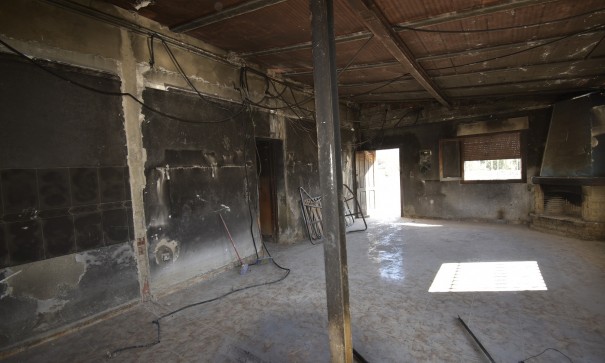 Resale - Finca Landgut -
Daya Nueva