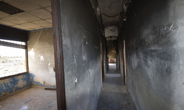 Resale - Finca Landgut -
Daya Nueva