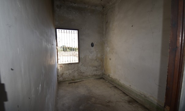 Resale - Finca Landgut -
Daya Nueva