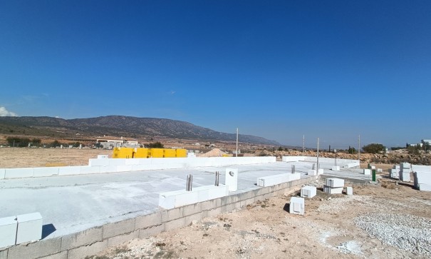 New Build - Freistehende Villa -
Pinoso