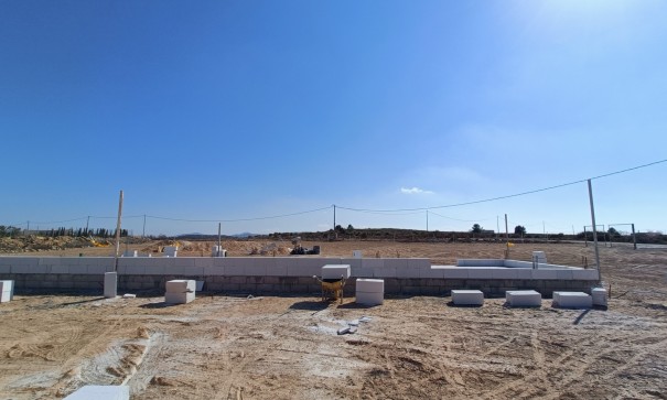 New Build - Freistehende Villa -
Pinoso