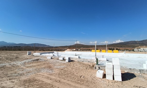 New Build - Freistehende Villa -
Pinoso