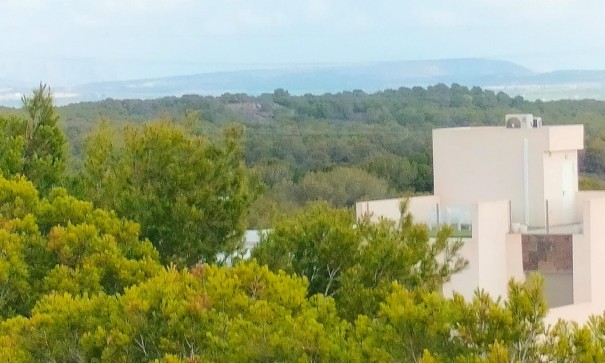 New Build - Detached Villa -
Orihuela Costa - PAU 26