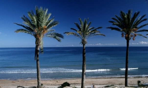 Obra Nueva - Apartamento piso -
Pilar de la Horadada - Parque Ramon eugenio Escudero