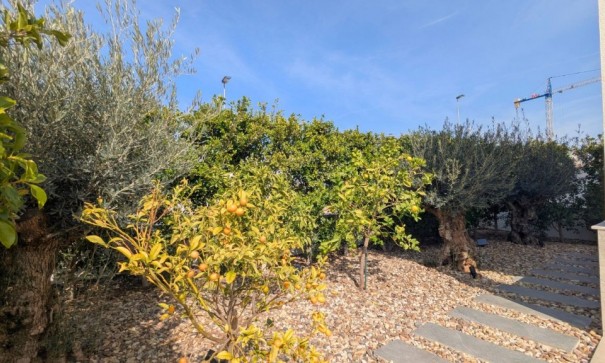 Sprzedaż - Willa wolnostojąca -
Benijofar