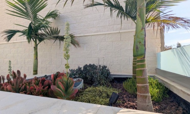 Sprzedaż - Willa wolnostojąca -
Benijofar