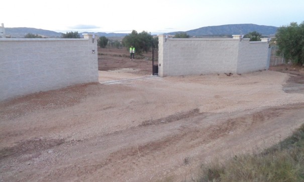 Nowa konstrukcja - Willa wolnostojąca -
Pinoso