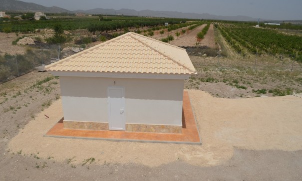 New Build - Freistehende Villa -
Pinoso