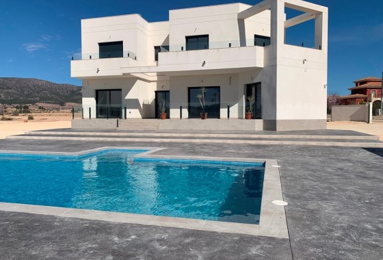 Obra Nueva - Chalet Independiente -
Pinoso