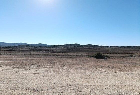 Obra Nueva - Chalet Independiente -
Pinoso