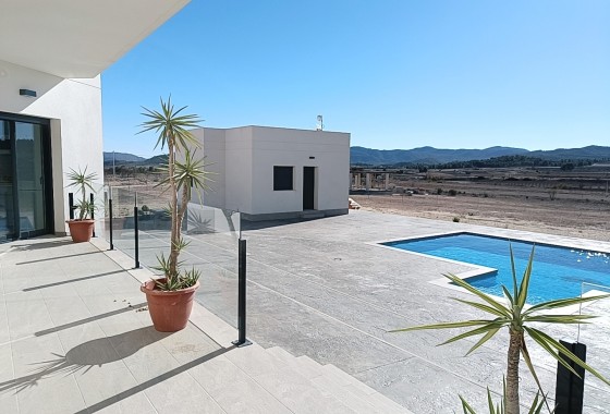 Obra Nueva - Chalet Independiente -
Pinoso