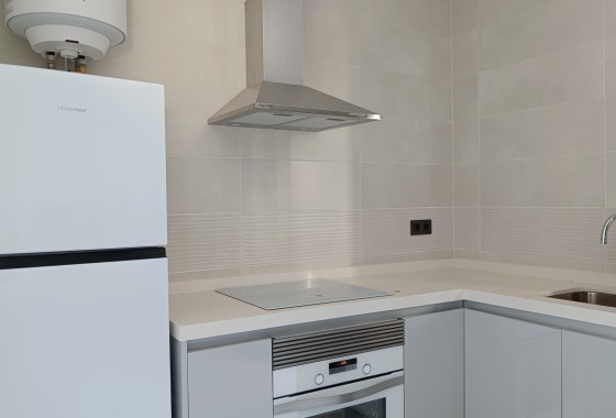 Obra Nueva - Chalet Independiente -
Pinoso