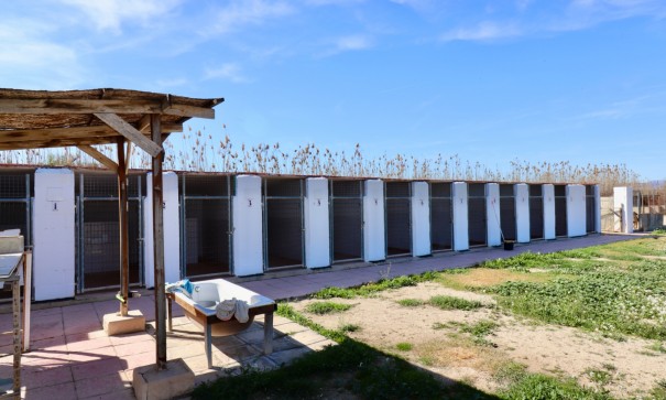 Resale - Finca Landgut -
Catral