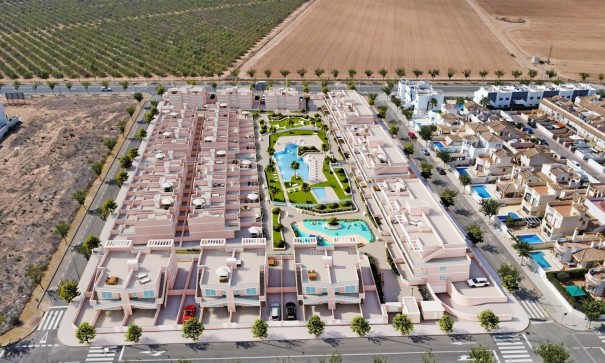 Obra Nueva - Apartamento piso -
Pilar de la Horadada - Lo Monte