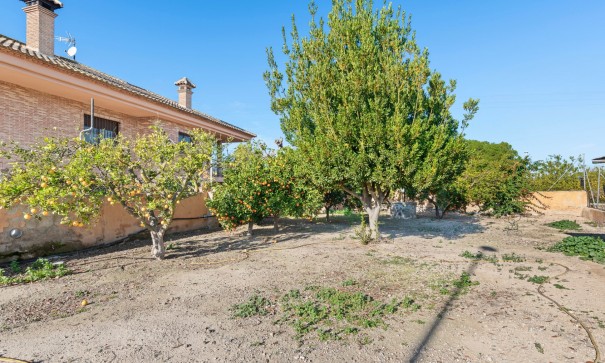 Sale - Finca Country Property -
Beniel - Carretera de Beniel