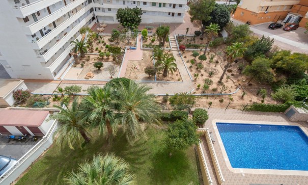Revente - Appartement -
Torrevieja - Torreblanca