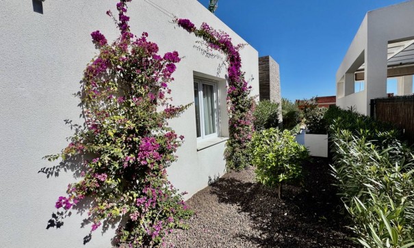 Sale - Detached Villa -
La Finca Golf - Algorfa