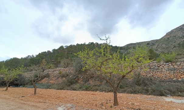 Nybyggd - Fristående villa -
La Romana