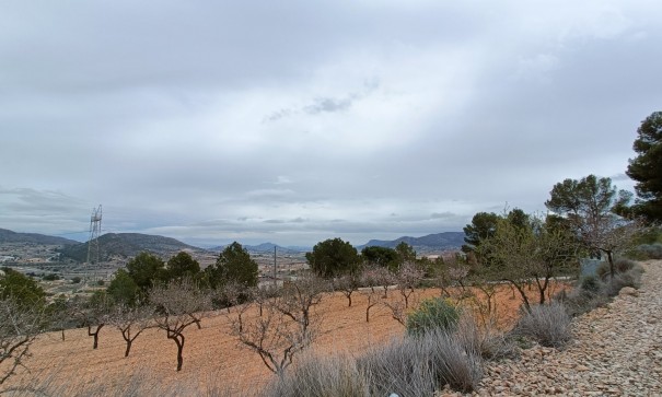Nybyggd - Fristående villa -
La Romana