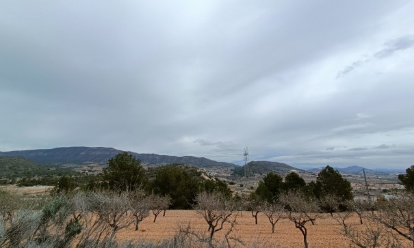 Nybyggd - Fristående villa -
La Romana