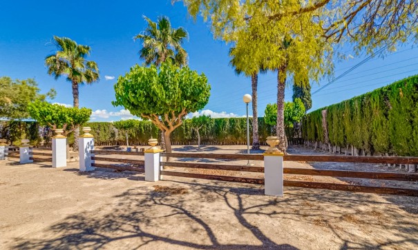 Herverkoop - Finca Landelijk pand -
Jacarilla