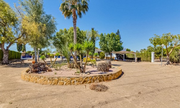 Herverkoop - Finca Landelijk pand -
Jacarilla