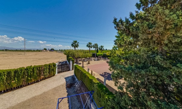 Herverkoop - Finca Landelijk pand -
Jacarilla