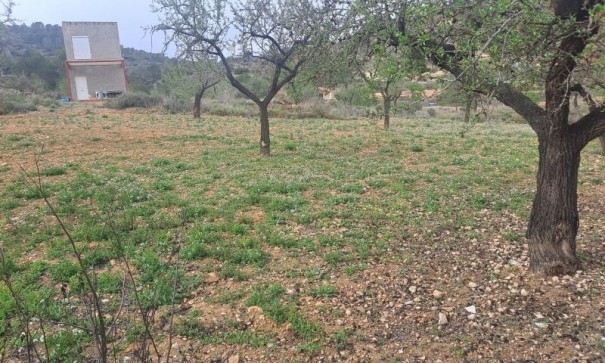 Återförsäljning - Finca lantlig egendom -
Hondón de las Nieves