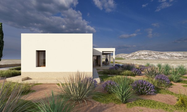 New Build - Freistehende Villa -
Pinoso