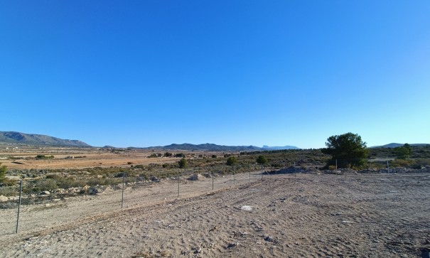 New Build - Freistehende Villa -
Pinoso