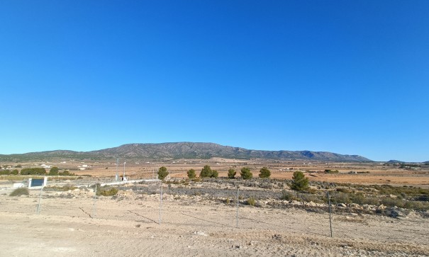 New Build - Freistehende Villa -
Pinoso