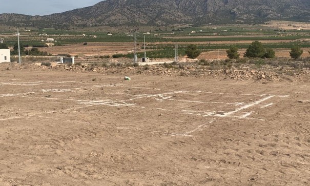 New Build - Freistehende Villa -
Pinoso