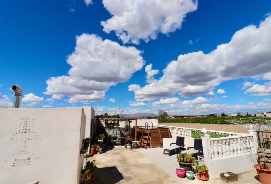 Sprzedaż - Finca nieruchomość wiejska -
Dolores