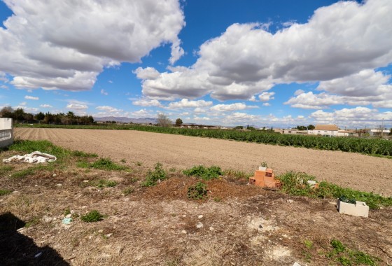 Sprzedaż - Finca nieruchomość wiejska -
Dolores