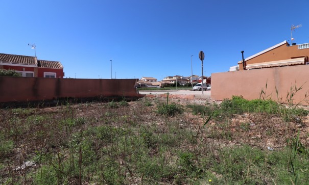 Sale - Plot Land -
Daya Nueva - Daya Nueva - Town