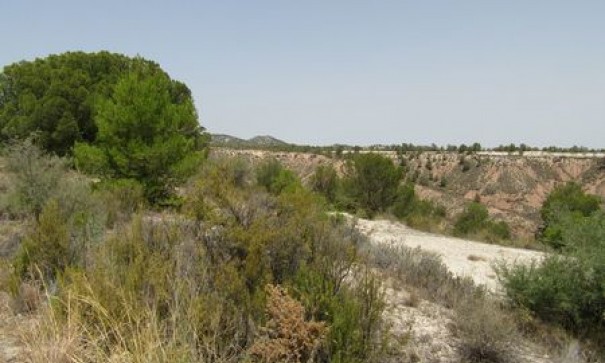 Resale - Plot -
Murcia
