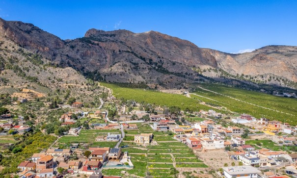 Venta - Finca Propiedad rural -
Orihuela