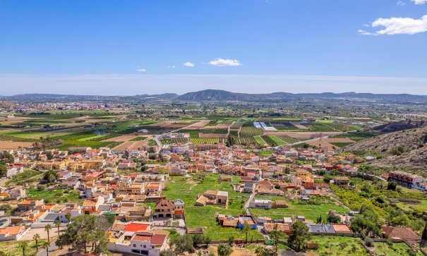 Venta - Finca Propiedad rural -
Orihuela