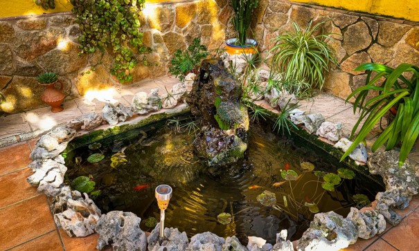 Videresalg - Finca landejendom -
Orihuela