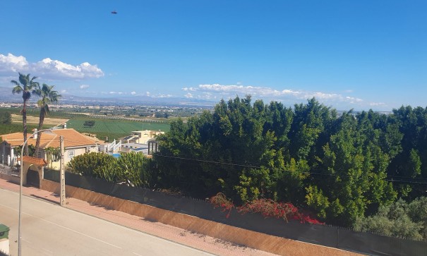 Sale - Detached Villa -
Algorfa