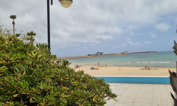 Videresalg - Lejlighed lejlighed -
Torrevieja - Playa de los Naufragos