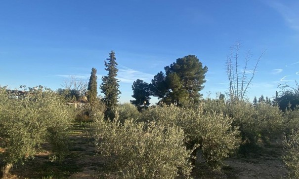 Sale - Detached Villa -
Gea y Truyols