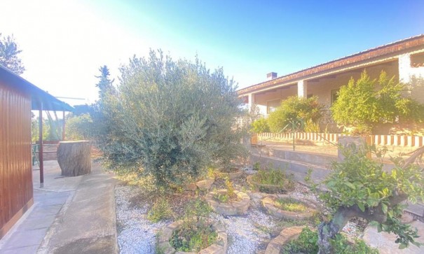 Sale - Detached Villa -
Gea y Truyols