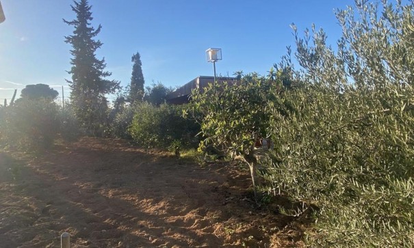 Sale - Detached Villa -
Gea y Truyols