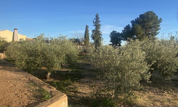 Sale - Detached Villa -
Gea y Truyols