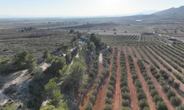 Videresalg - Fritliggende villa -
Gea y Truyols